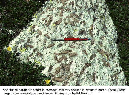 Andalusite-cordierite schist in metasedimentary sequence, western part of Fossil Ridge