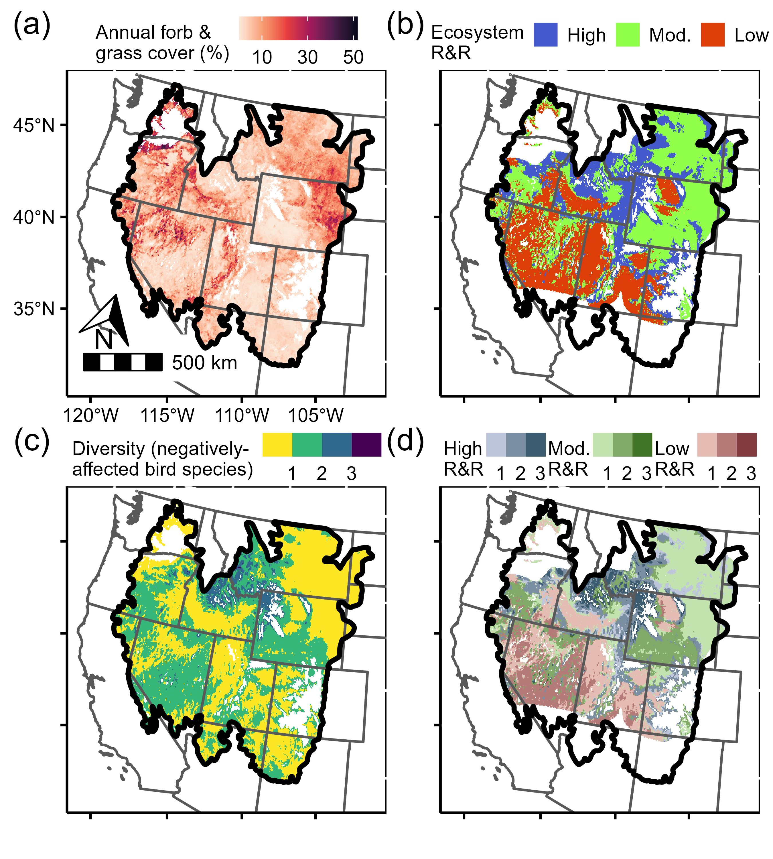 Combining predictive maps of annual grass invasion, ecosystem resilience, and bird
                     diversity shows that there are certain areas in the sagebrush biome where invasions
                     are likely to cause high losses of songbirds, particularly in the southwestern portion
                     of the biome.