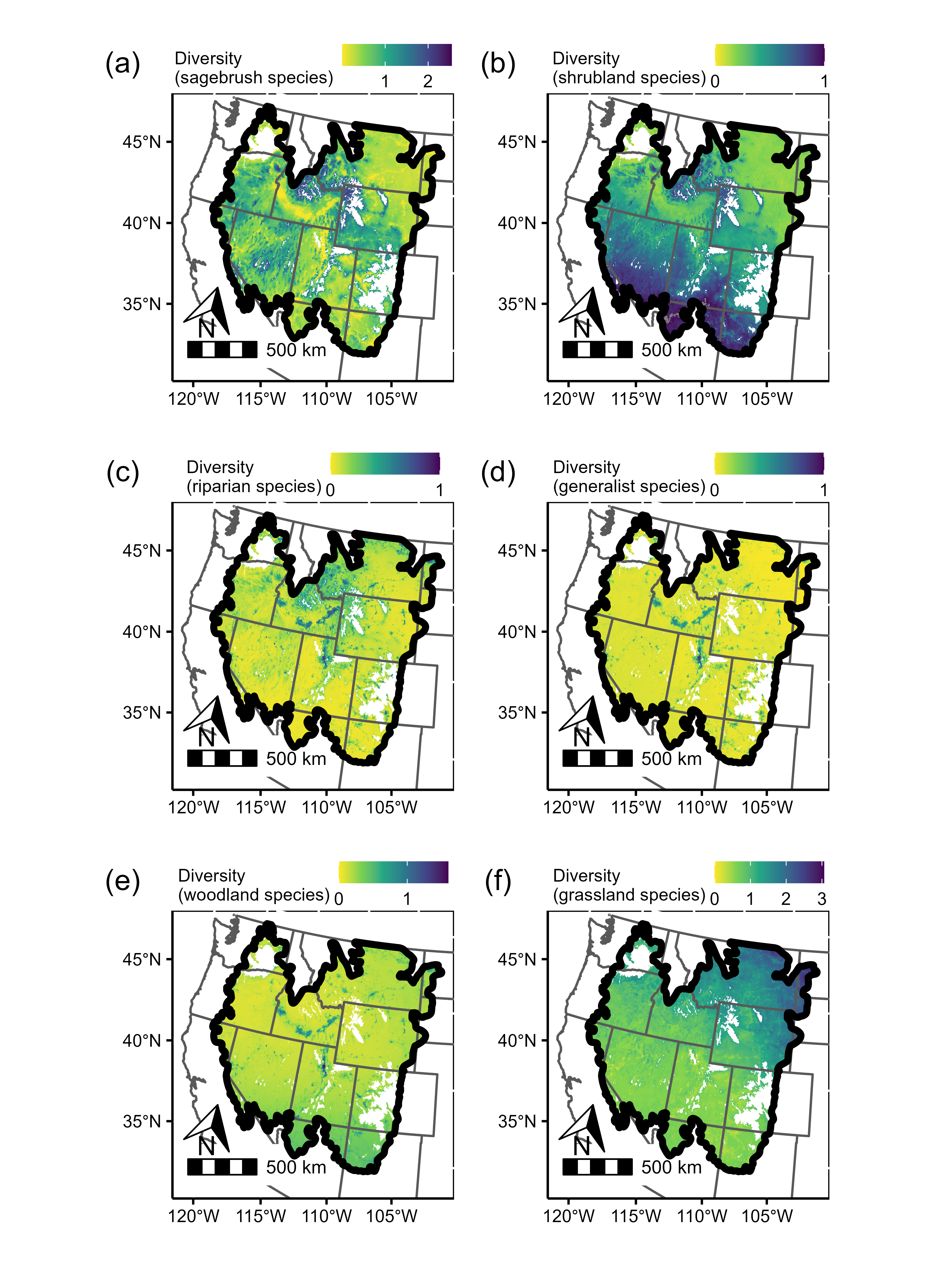 Local diversity of different songbird guilds appears unevenly distributed across the
               sagebrush biome, with regions of higher or lower diversity.