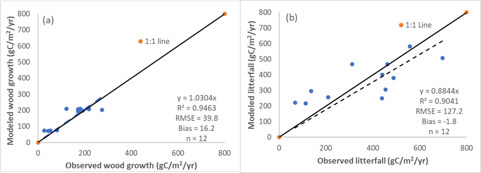 Simulated wood growth and litterfall in Lake Maurepas swamp forests are in good agreement
                        with field observations.