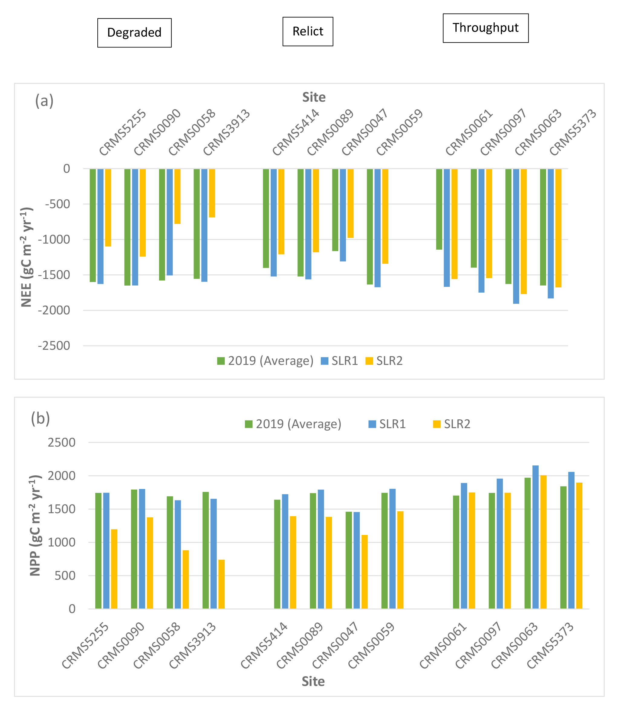 Rising sea levels significantly affect simulated NEE, NPP, ER, CH4, and N2O at the
                        degraded, relict, and throughput sites.