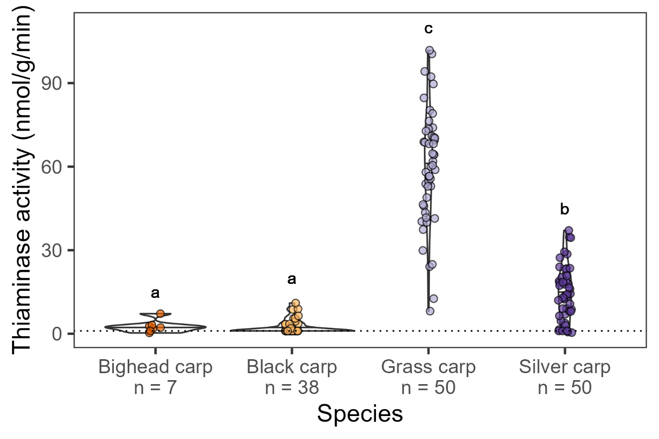 Thiaminase activity detection limits of the study.