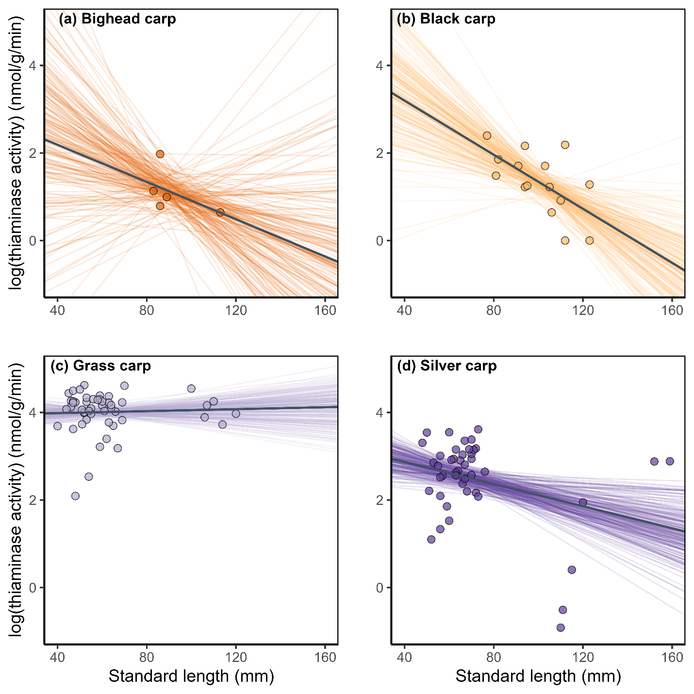 Relationship between thiaminase activity and carp species length.