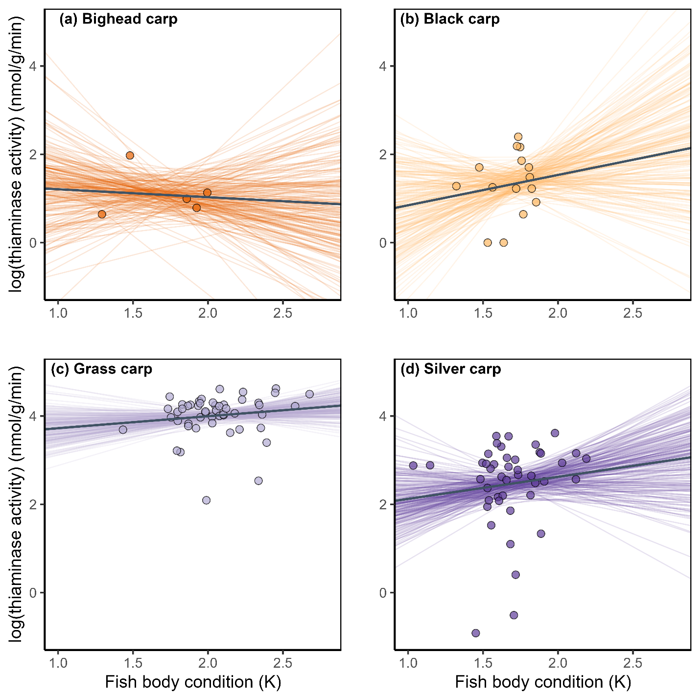 Relationship between thiaminase activity and carp body condition.