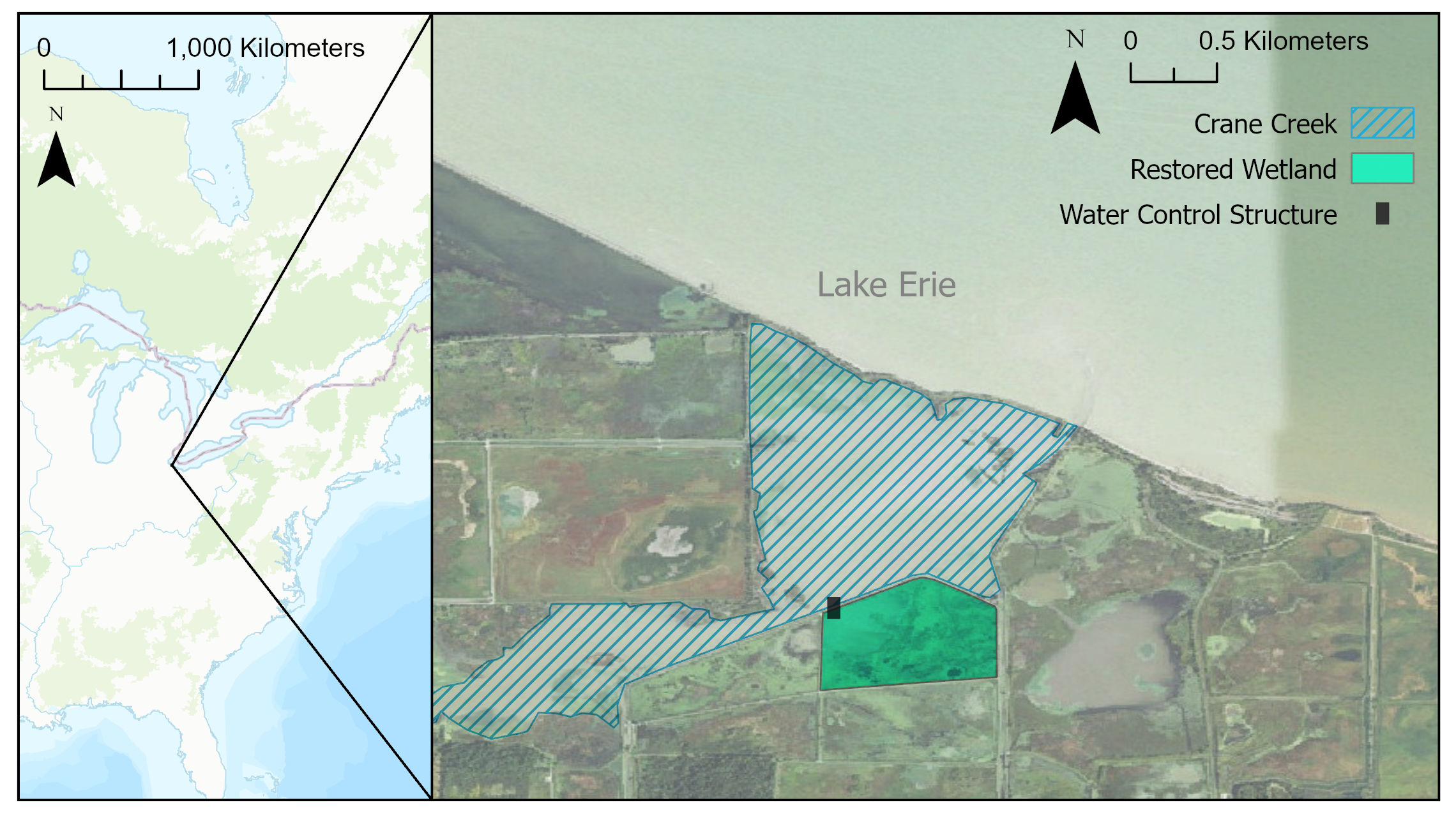 Crane Creek and the restored wetland are located on the U.S. shoreline of western
                     Lake Erie.