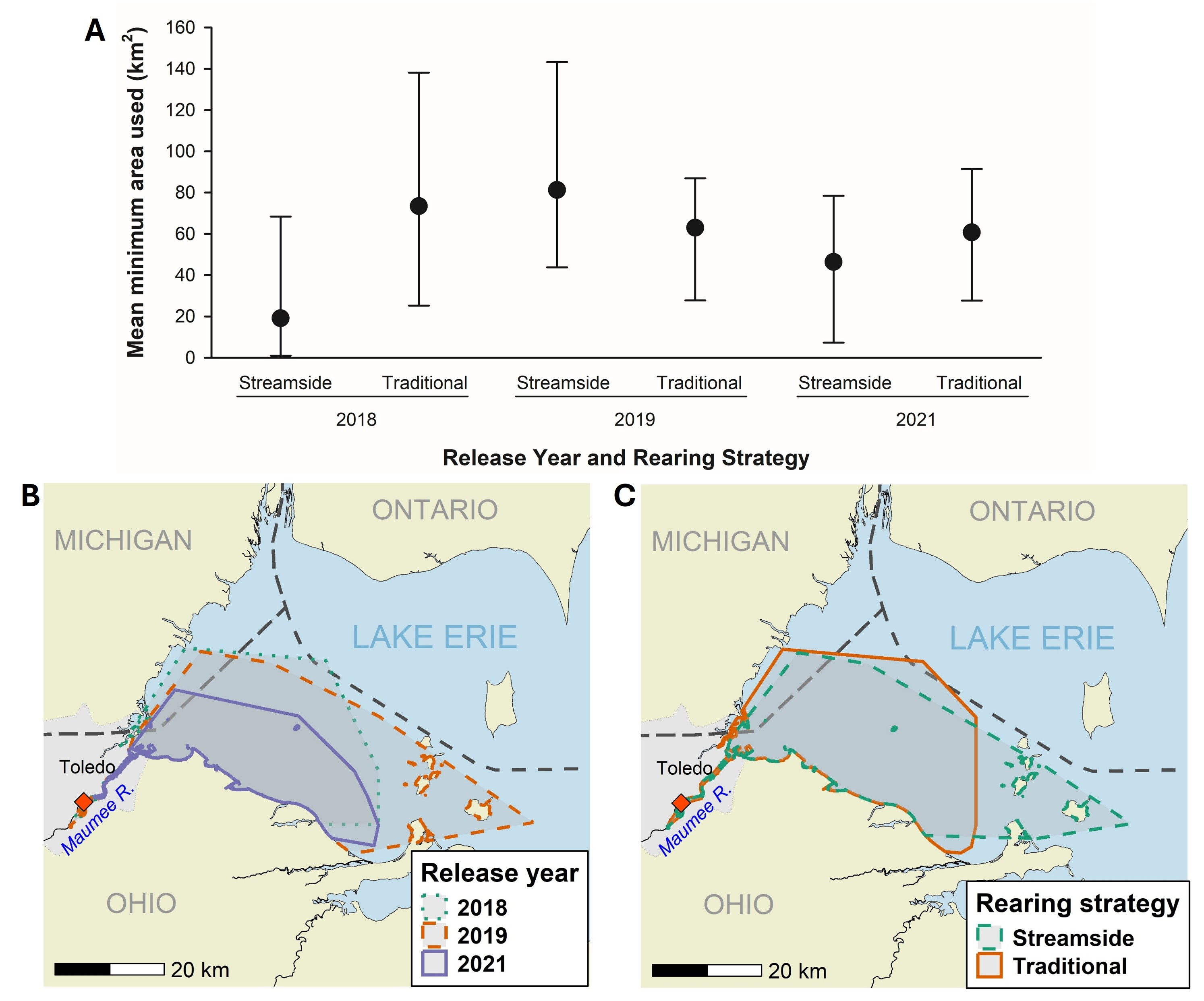 All three stocking cohorts remained within U.S. waters of the western basin of Lake
Erie and utilized overlapping habitat areas by either rearing strategy or release
year.