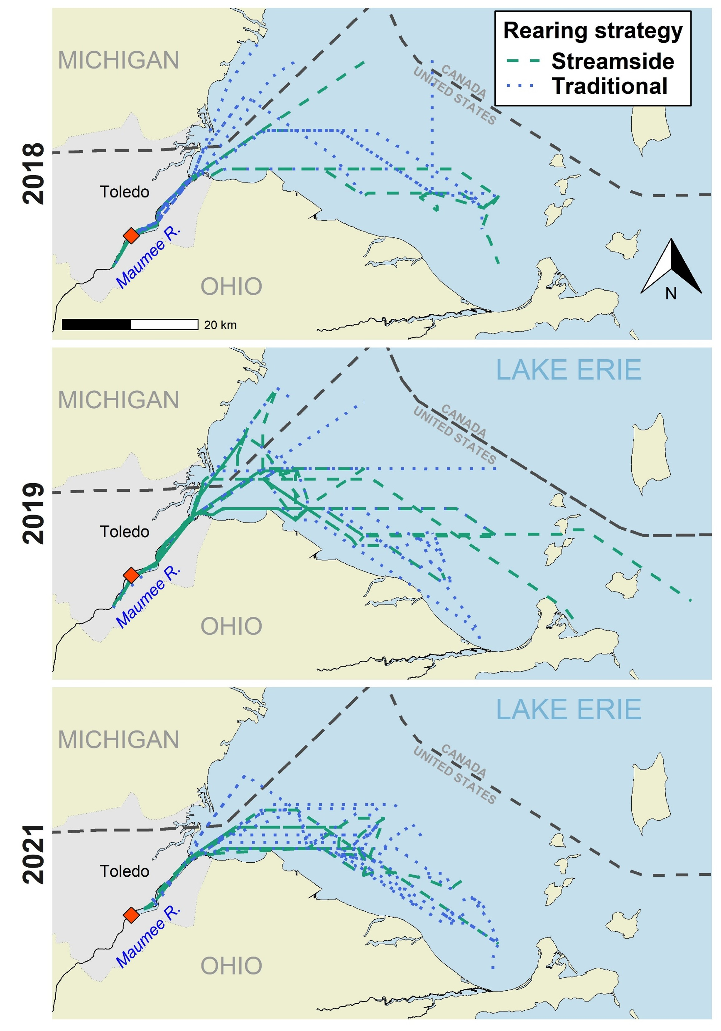 Interpolated movement paths emphasized dispersal from the Maumee River stocking location
into U.S. portions of the western basin of Lake Erie. Patterns of dispersal were similar
between rearing strategies.