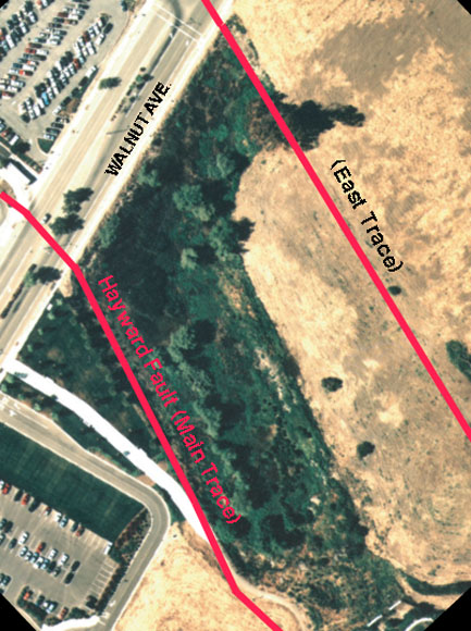 Photograph of Tysons Lagoon showing main and east traces of Hayward Fault.