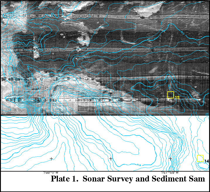 section of sidescan-sonar image 