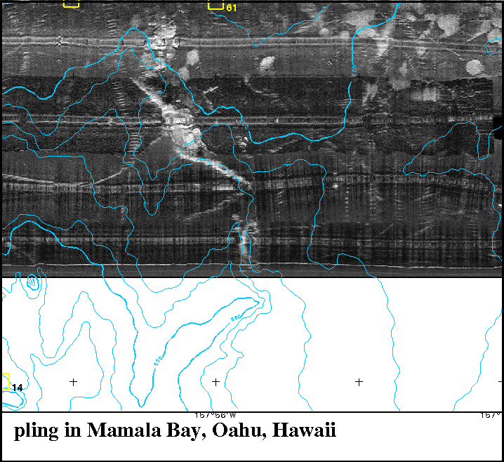  section of sidescan-sonar image 