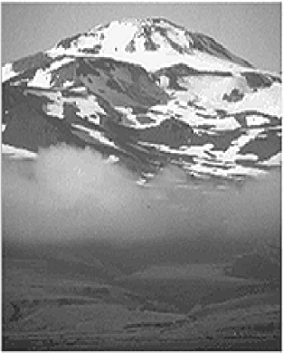 Figure 6. View to the north of Kliuchef Volcano on Atka Island.