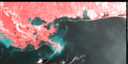 April 94 False Color Infrared image
