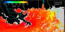 August 93 Sea Surface Temperature image