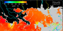 August 96 Sea Surface Temperature image