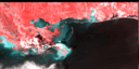 February 94 False-Color Infrared image