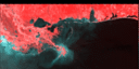 January 94 False-Color Infrared image