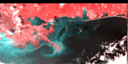 January 94 False-Color Infrared image