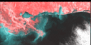 January 96 False-Color Infrared image