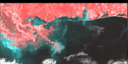 January 96 False-Color Infrared image