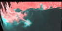 January 96 False-Color Infrared image