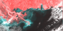 January 97 False-Color Infrared image