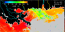 July 93 Sea Surface Temperature image