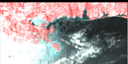 July 95 False-Color Infrared image