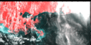 June 93 False-Color Infrared image