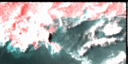 June 94 False-Color Infrared image