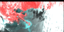 June 95 False-Color Infrared image