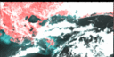 June 95 False-Color Infrared image
