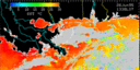June 95 Sea Surface Temperature image