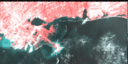 June 96 False-Color Infrared image