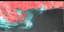 March 1995 False-Color Infrared image