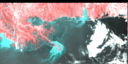 March 1995 False-Color Infrared image
