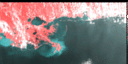 May 1994 False-Color Infrared image