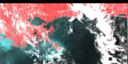 May 1994 False-Color Infrared image