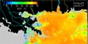May 1994 Sea Surface Temperature image