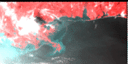 November 1993 False-Color Infrared image