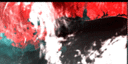 November 1993 False-Color Infrared image