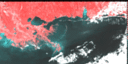 November 1995 False-Color Infrared image