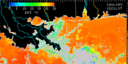 October 1993 Sea Surface Temperature image