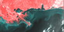 October 1995 False-Color Infrared image