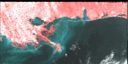 October 1996 False-Color Infrared image