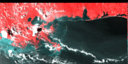 September 1993 False-Color Infrared image