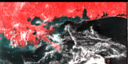 September 1994 False-Color Infrared image