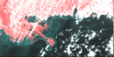 September 1995 False-Color Infrared image