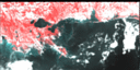 September 1996 False-Color Infrared image