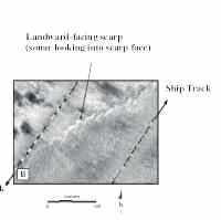 Figure 10A: The rock outcrops (marine hardbottoms) in the study area support a variety of organisms. 10B: A sidescan sonar image of a low-relief limestone scarp.