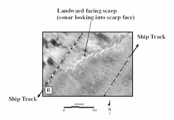 Figure 10 B:  A sidescan sonar image of a low-relief limestone scarp.